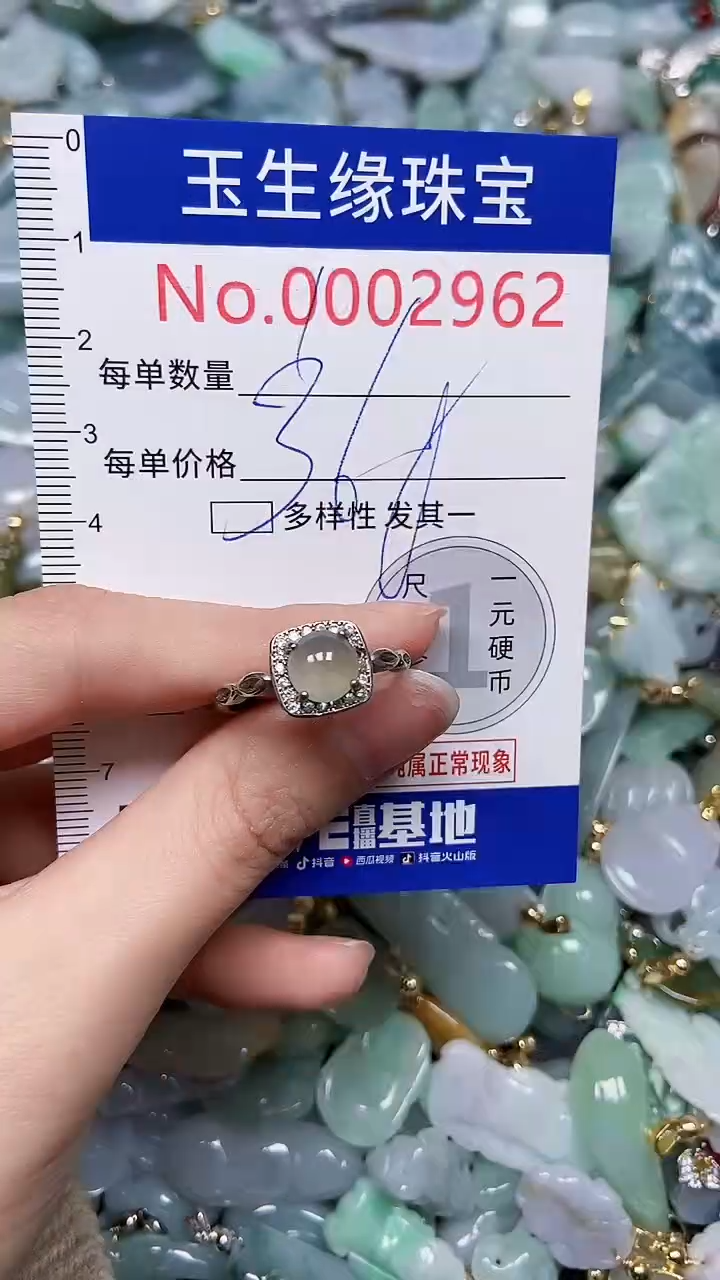 【闪购商品】翡翠颈饰未镶嵌闪购00002962