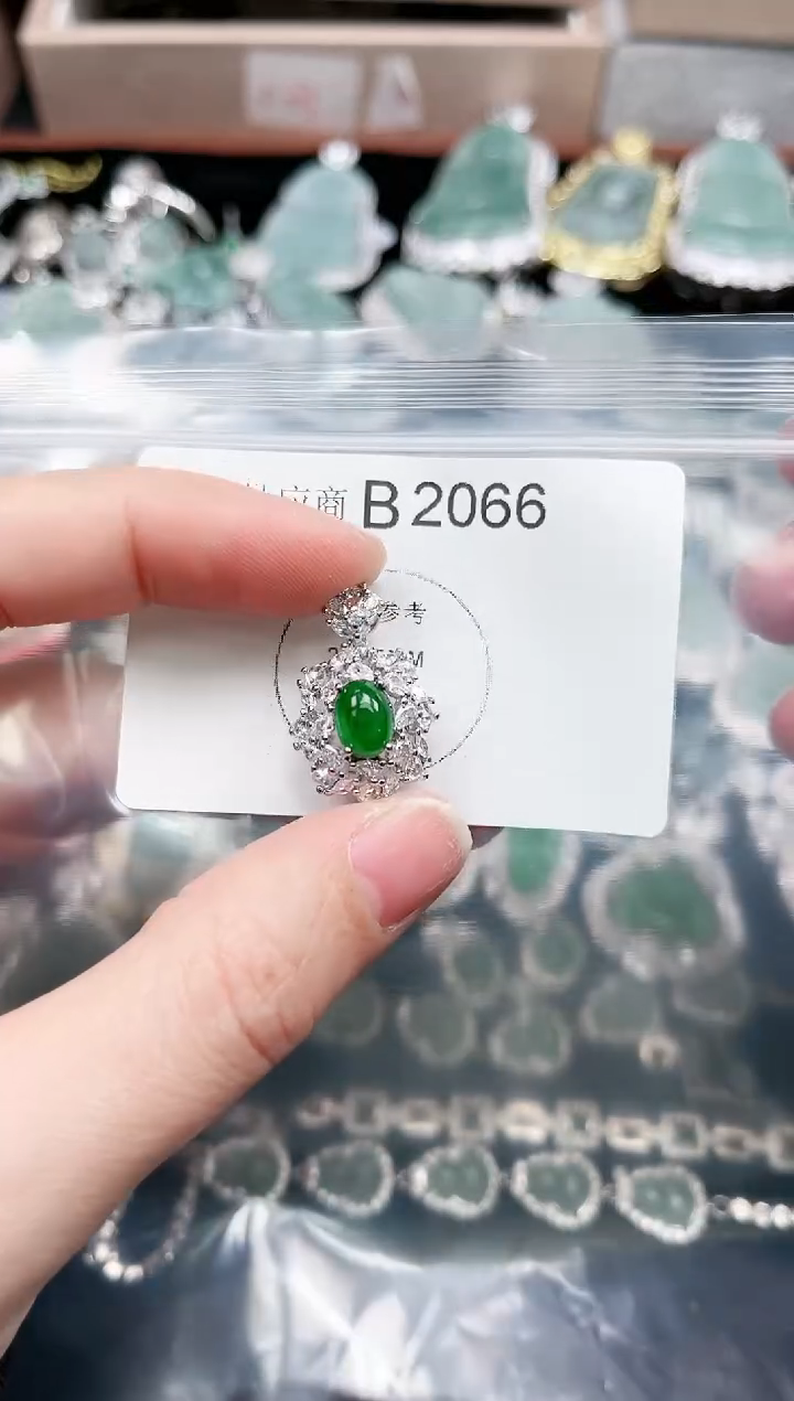 【闪购商品】翡翠颈饰未镶嵌2066赠皮绳