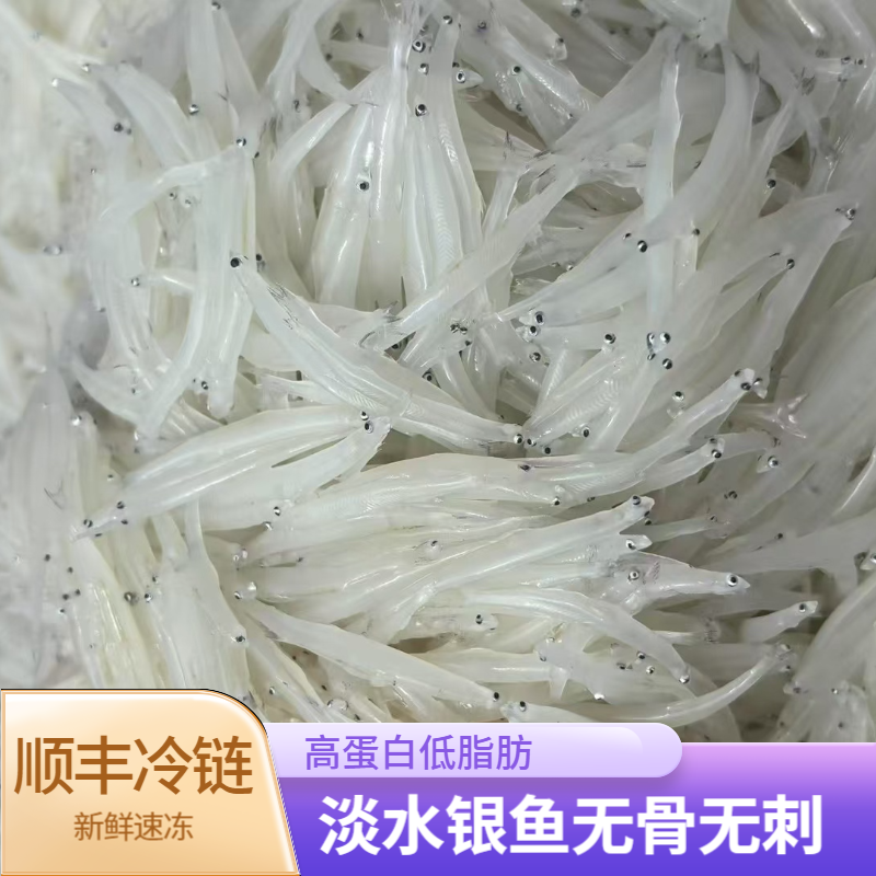 新鲜银鱼冷冻无骨无刺营养丰富老少皆宜100g*5包顺丰冷链