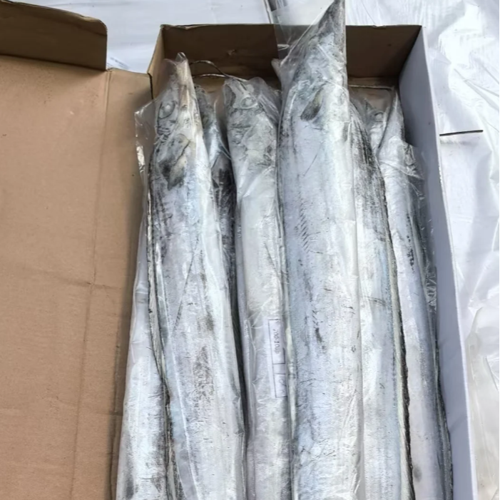 【深海冻带鱼’鲜捕速冻】均重200g-250g左右