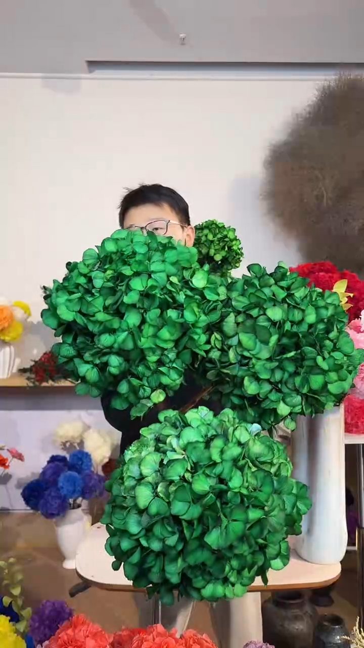 吸色永生大叶绣球3枝  绿