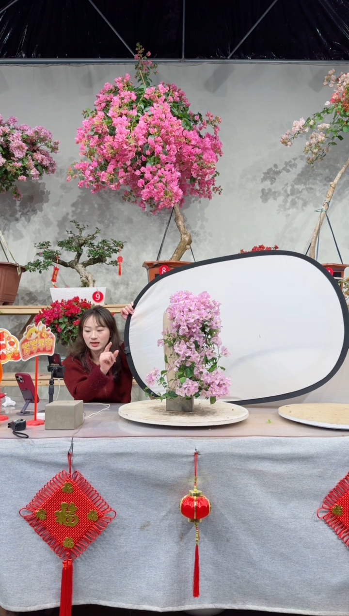 【闪购商品】盆景苹果花