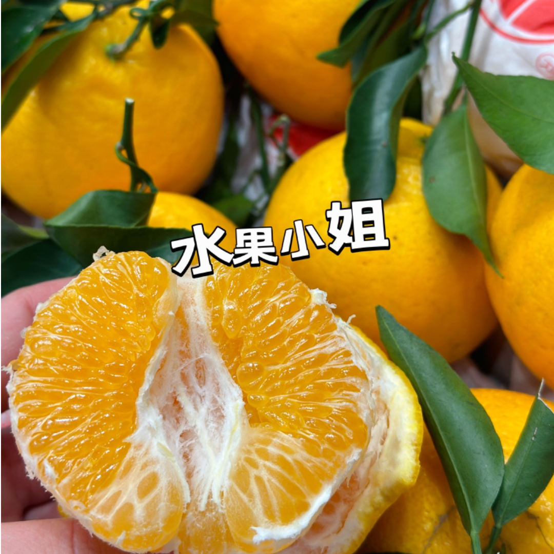 四川精品耙耙柑 22.8元/斤四川省