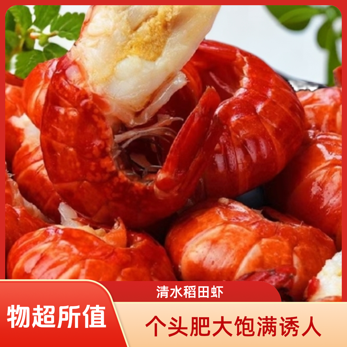 新货大大特一斤70-80粒无冰衣龙虾尾 顺丰冷链发货