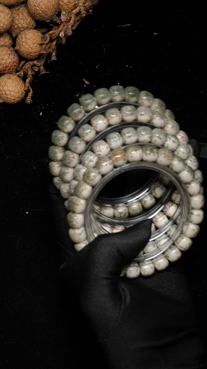 手串星月菩提E01-9*8河豚