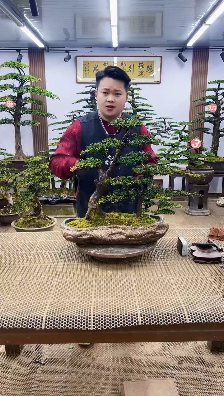 【闪购商品】00000000000