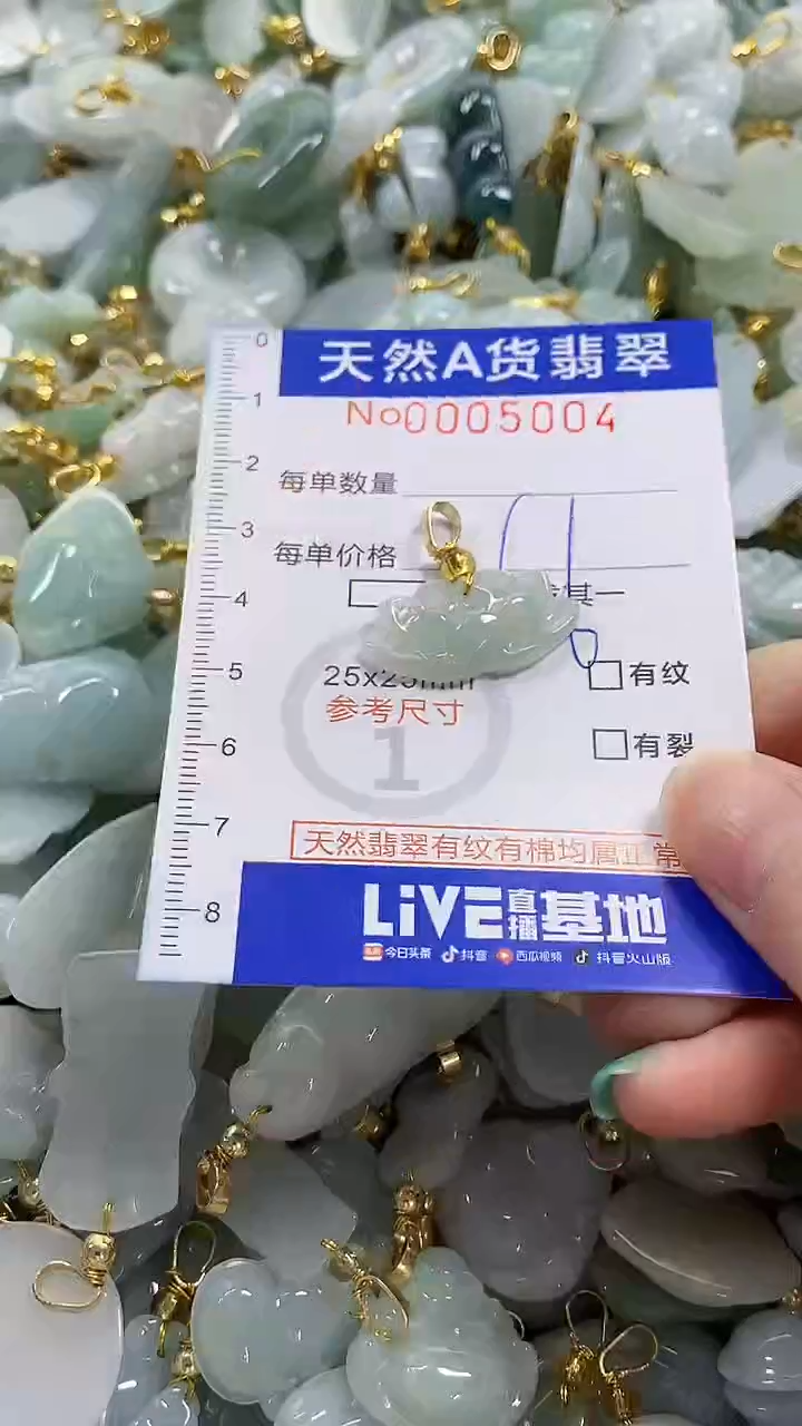 颈饰未镶嵌翡翠纯天然货翡翠