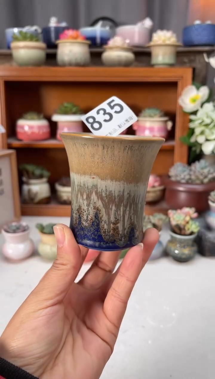 瓷片835小芳直播编号