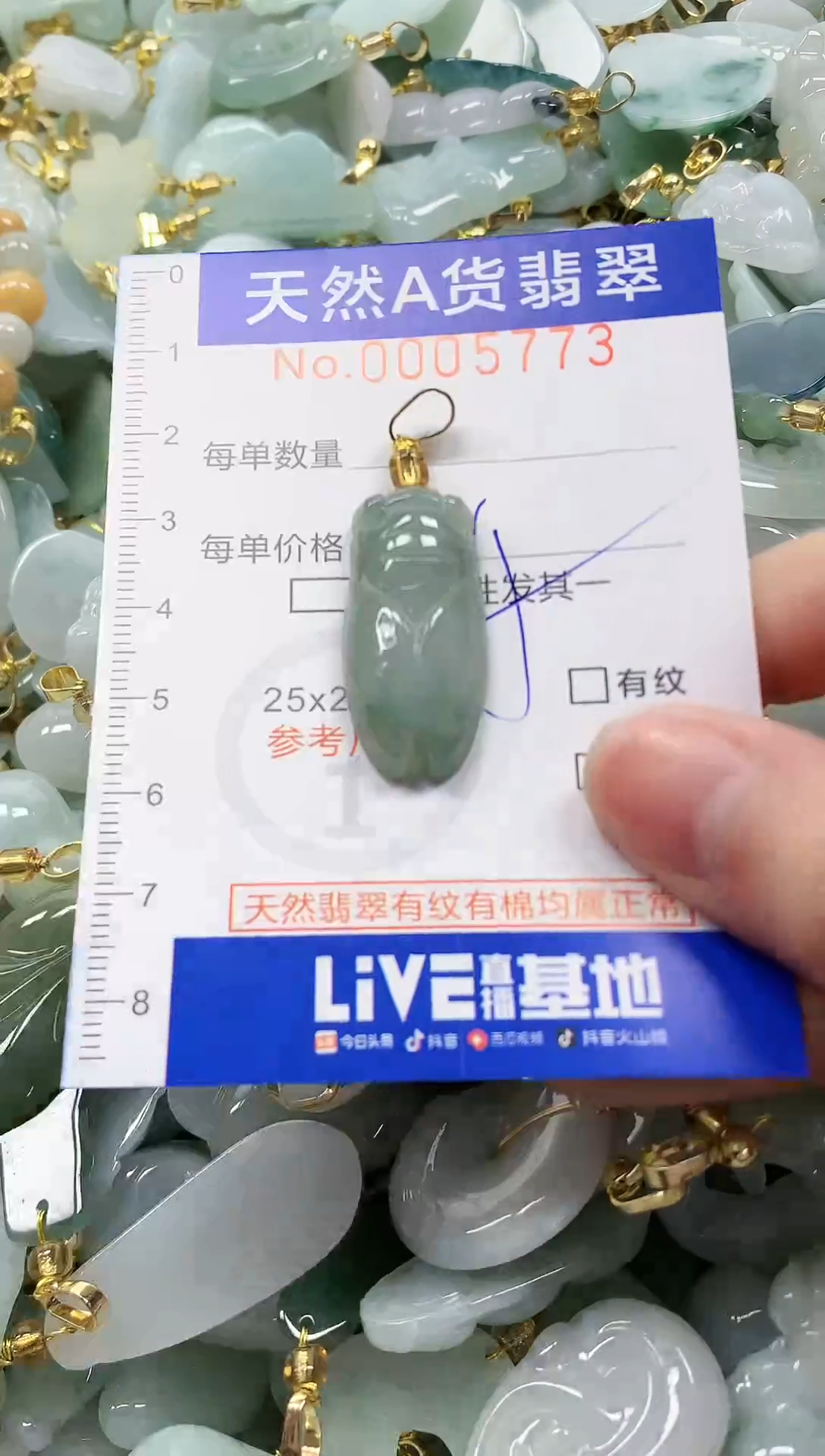 颈饰未镶嵌翡翠纯天然a货翡翠