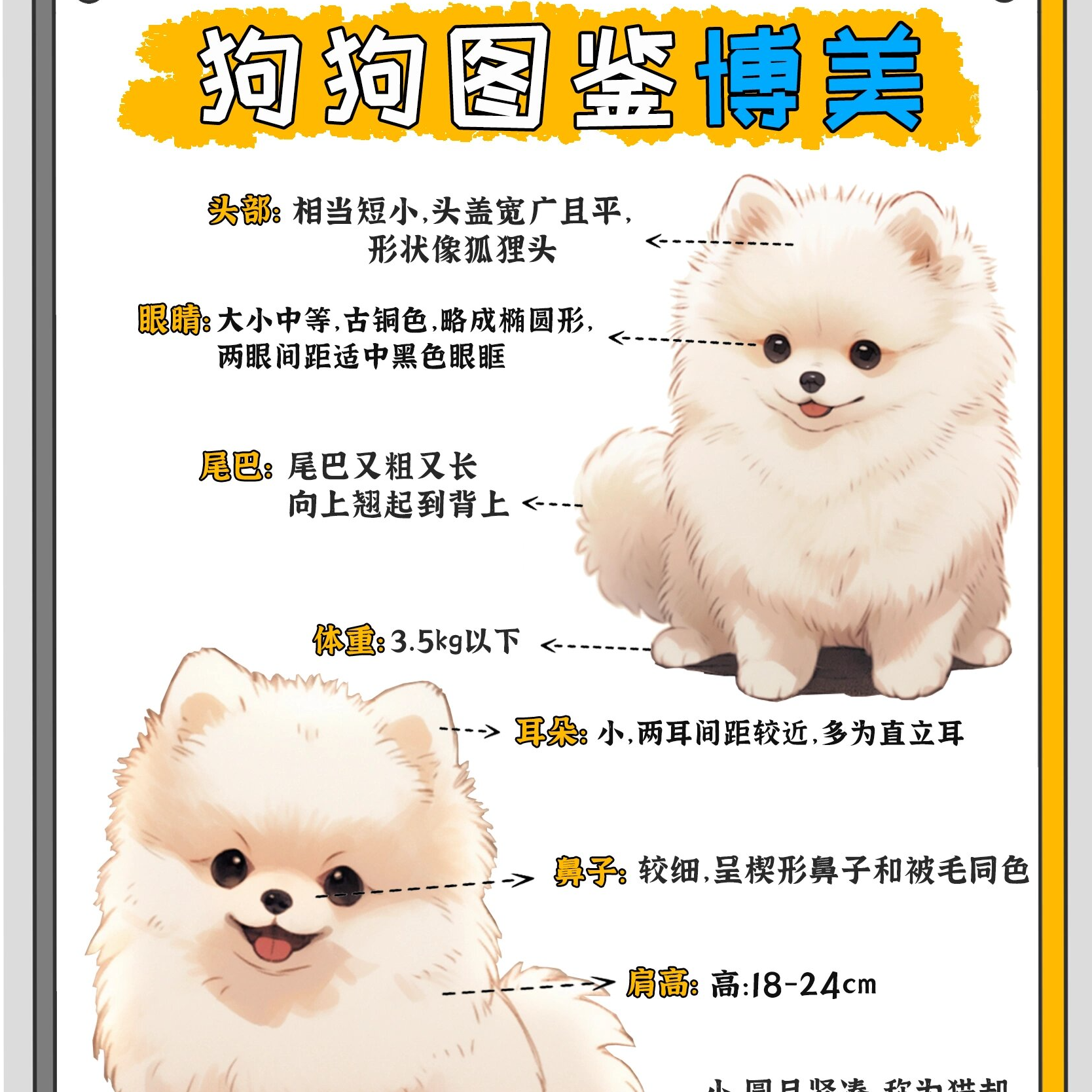 阿静教你挑选书课包PTT