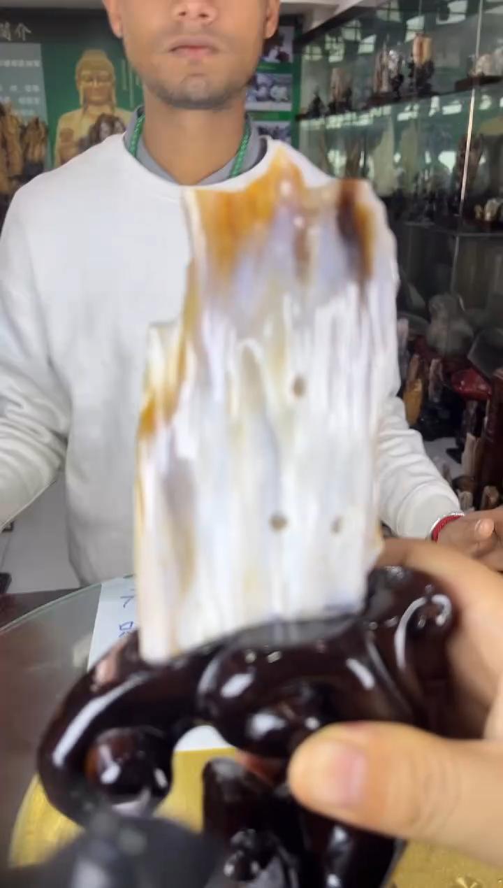 未镶嵌珠宝奇石硅化玉缅甸天然树化玉精品摆件