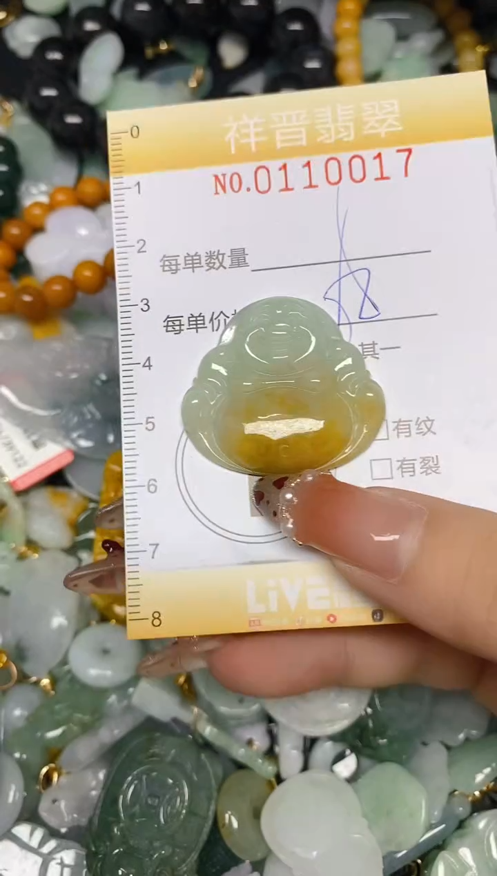 【闪购商品】翡翠颈饰未镶嵌闪购0110017