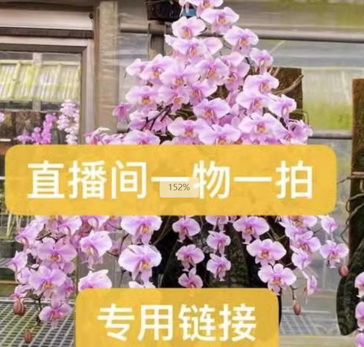 39.8-398蝴蝶兰系列（金山养花大书）