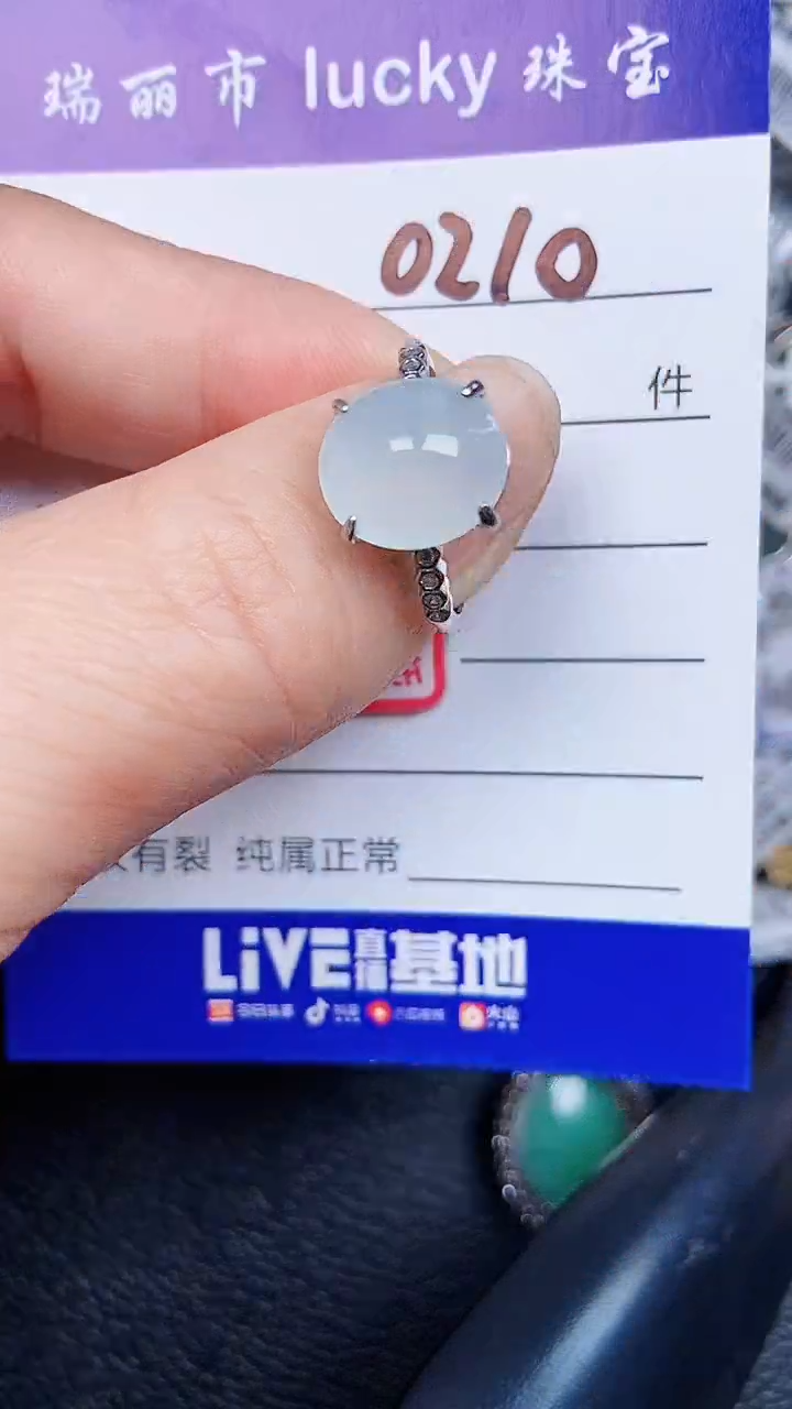 颈饰银S925镶嵌翡翠0210