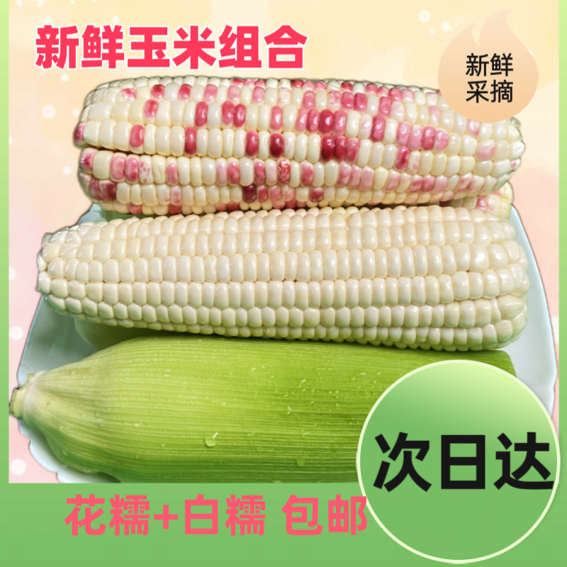 【混合装】6斤9斤上海本地玉米包邮到家甜糯玉米新鲜采摘甜玉米上海市