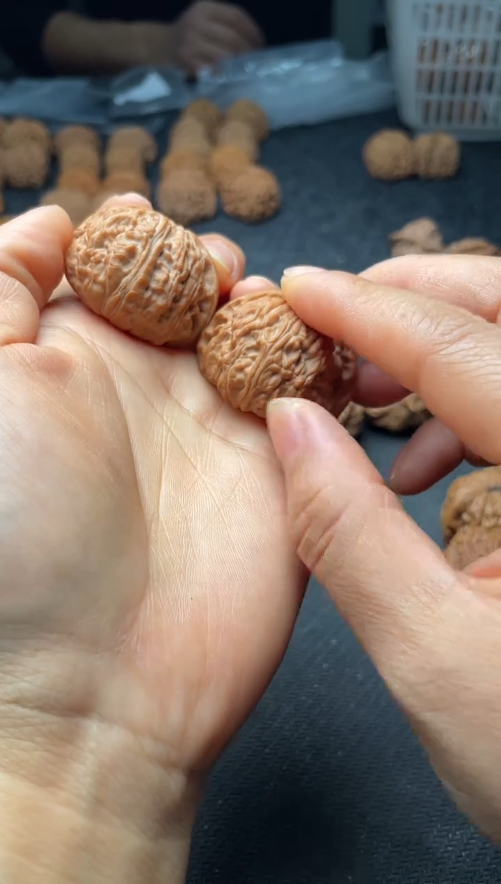 把件文玩核桃w136  白狮子 35尺