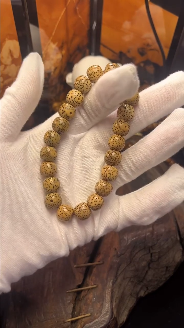 手串星月菩提原知行堂陈籽10*9桶珠手串