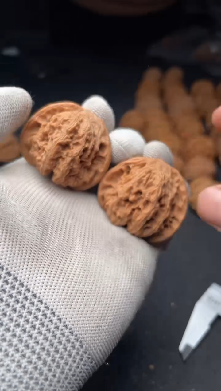 核桃a164   龙洞玉 41尺