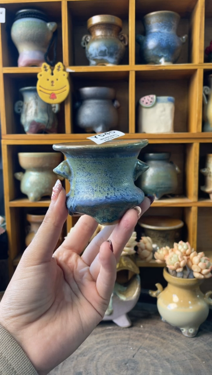 545内口6.5【多肉花盆多肉盆】