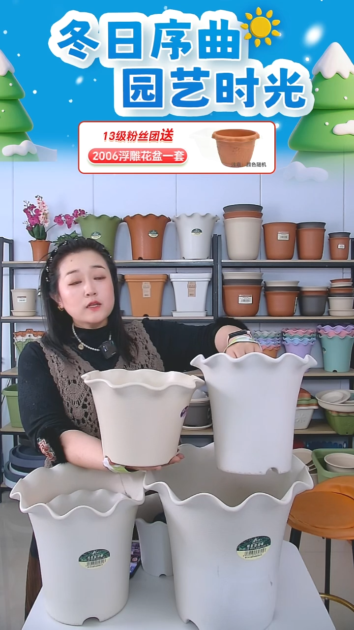 荷叶边5003米白色五个带托盘