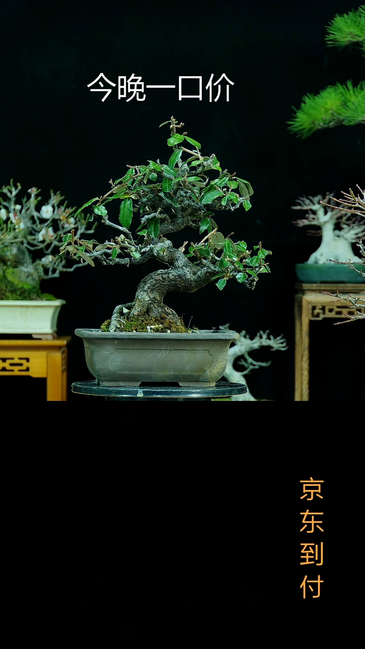 【闪购商品】0000000