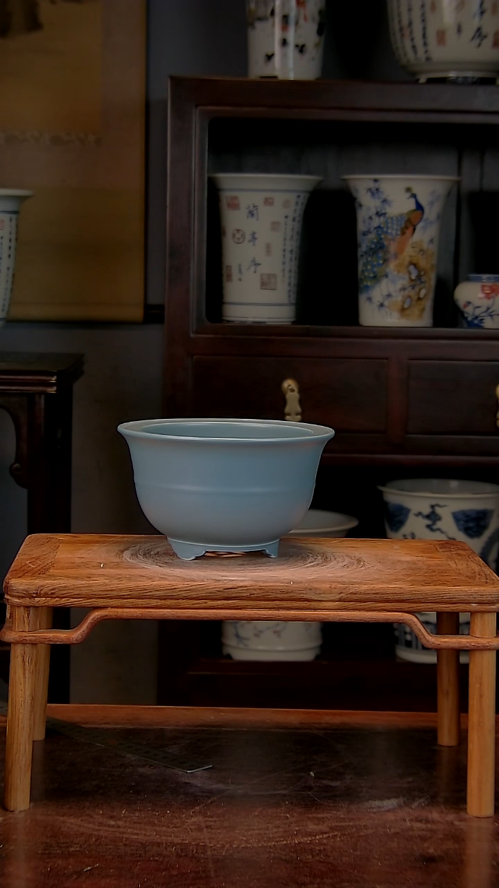 【闪购商品】红陶1