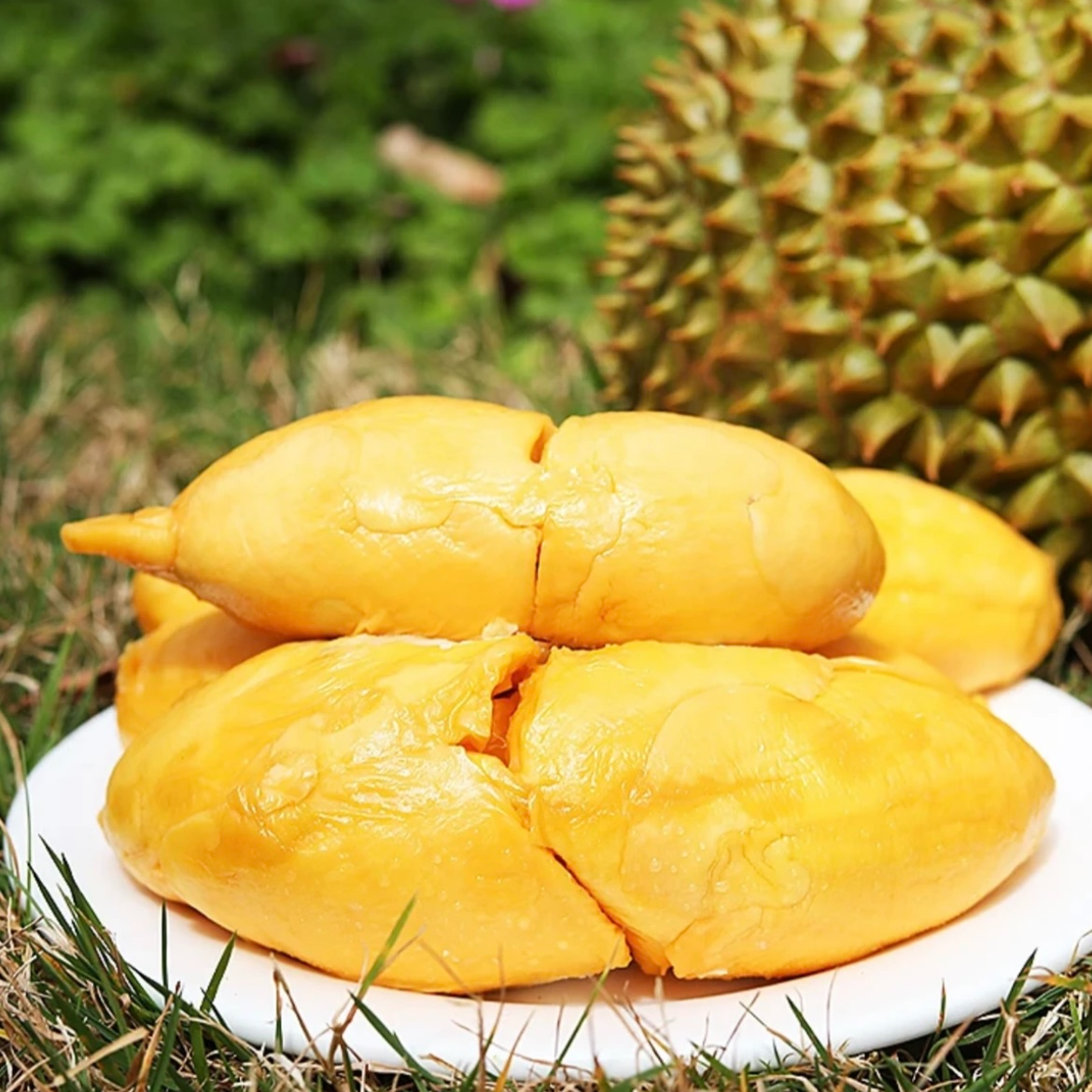 金尧榴莲当季限定高端榴莲一箱顺丰包邮14-15斤核小新鲜榴莲江浙沪皖次日达榴莲同城送金尧泰国东部