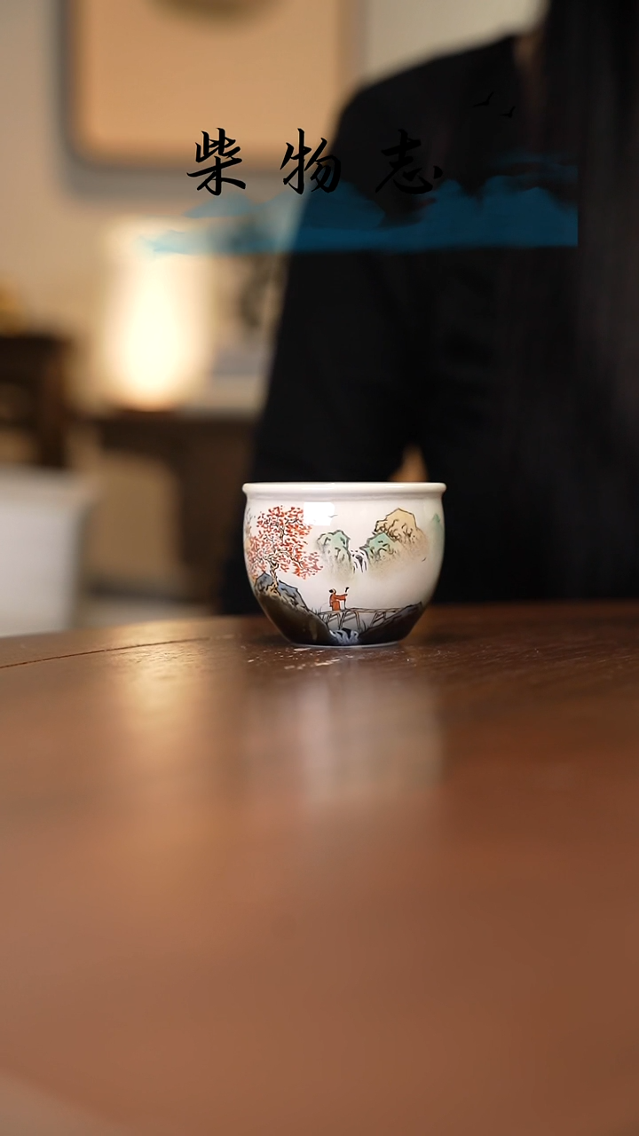 【闪购商品】福利柴物志原创手绘...........