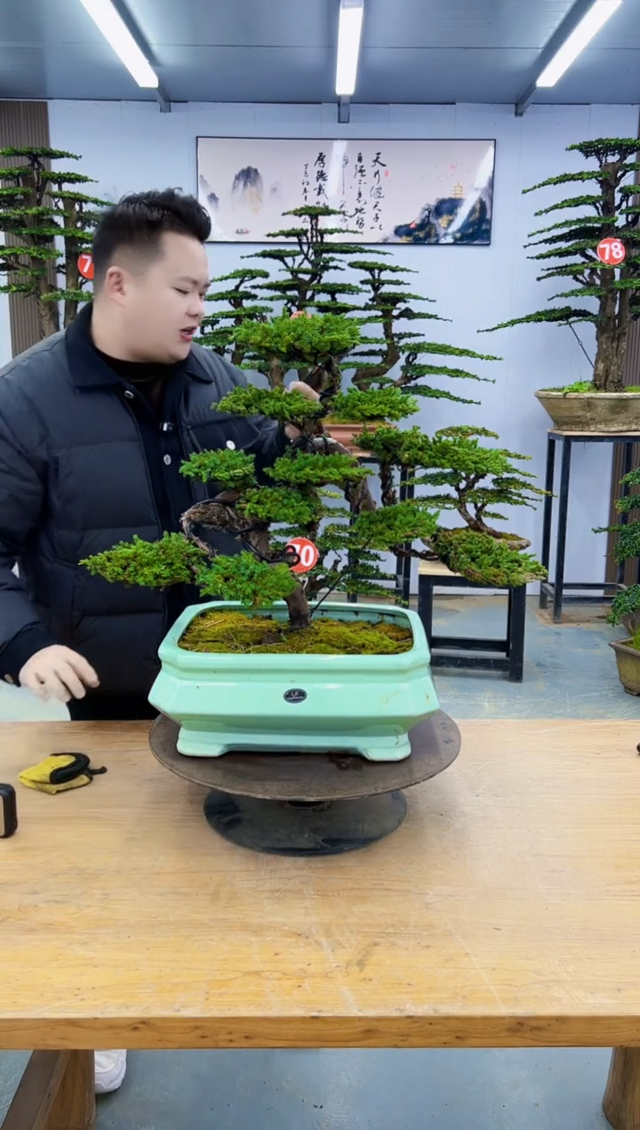 以实际为准00000000