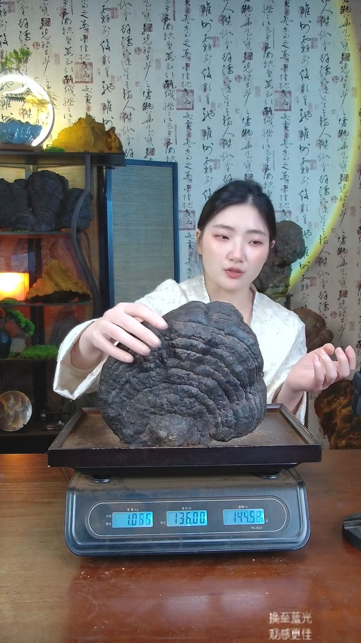 红缘拟层孔菌中国大陆【藏区 野生】红缘树舌（2.13斤）20-30年份