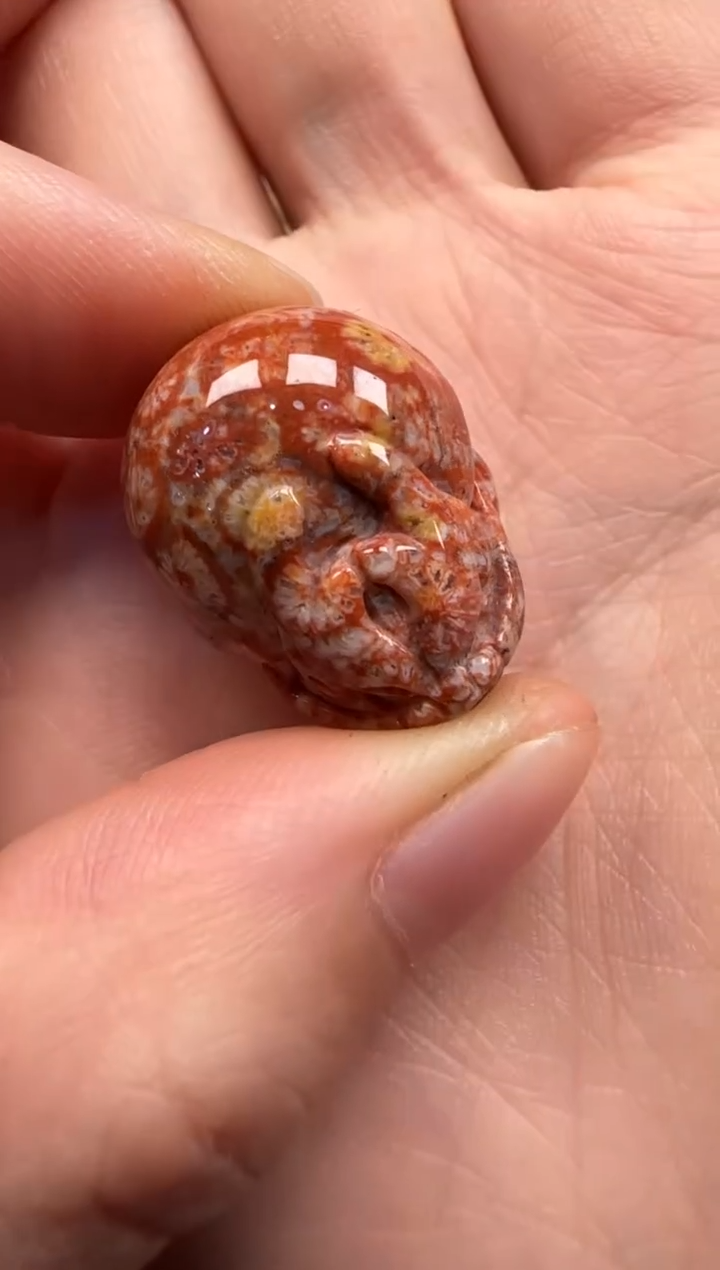 【闪购商品】硅化珊瑚（珊瑚玉）颈饰未镶嵌497