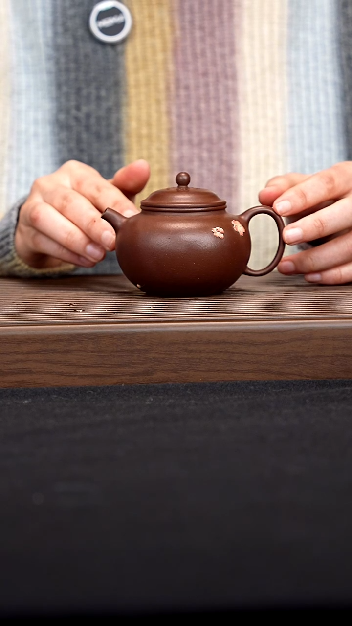 【闪购商品】花吟壶 一物见春出