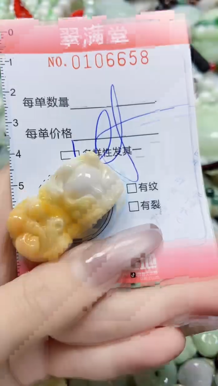 【闪购商品】翡翠颈饰未镶嵌闪购0106658