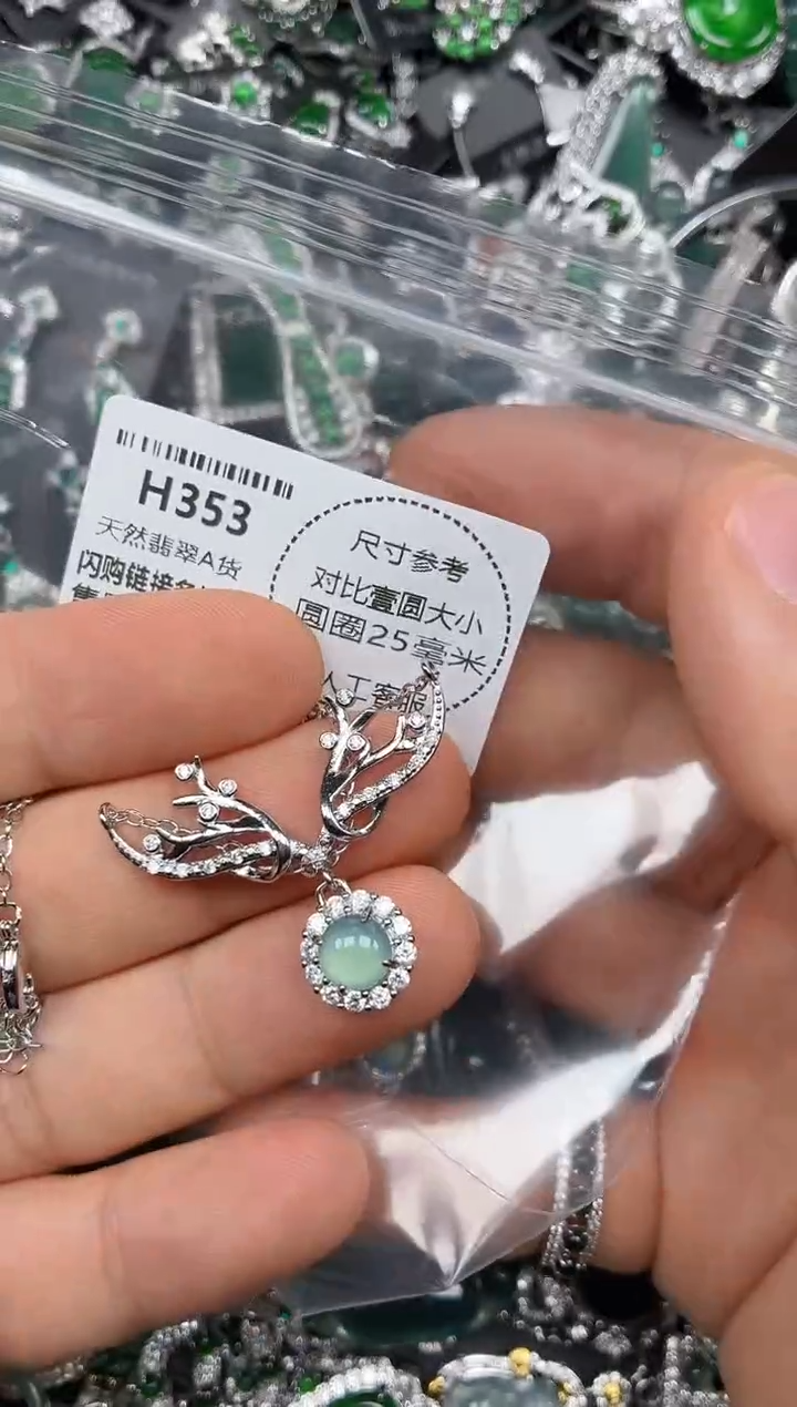 颈饰未镶嵌翡翠H353项链