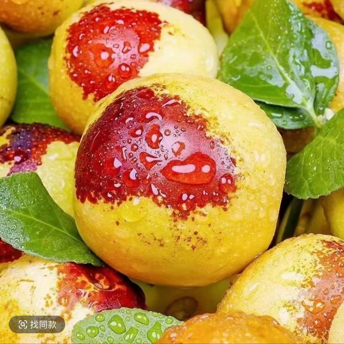 正宗产地新鲜现摘冰糖冬枣脆甜可口应季水果