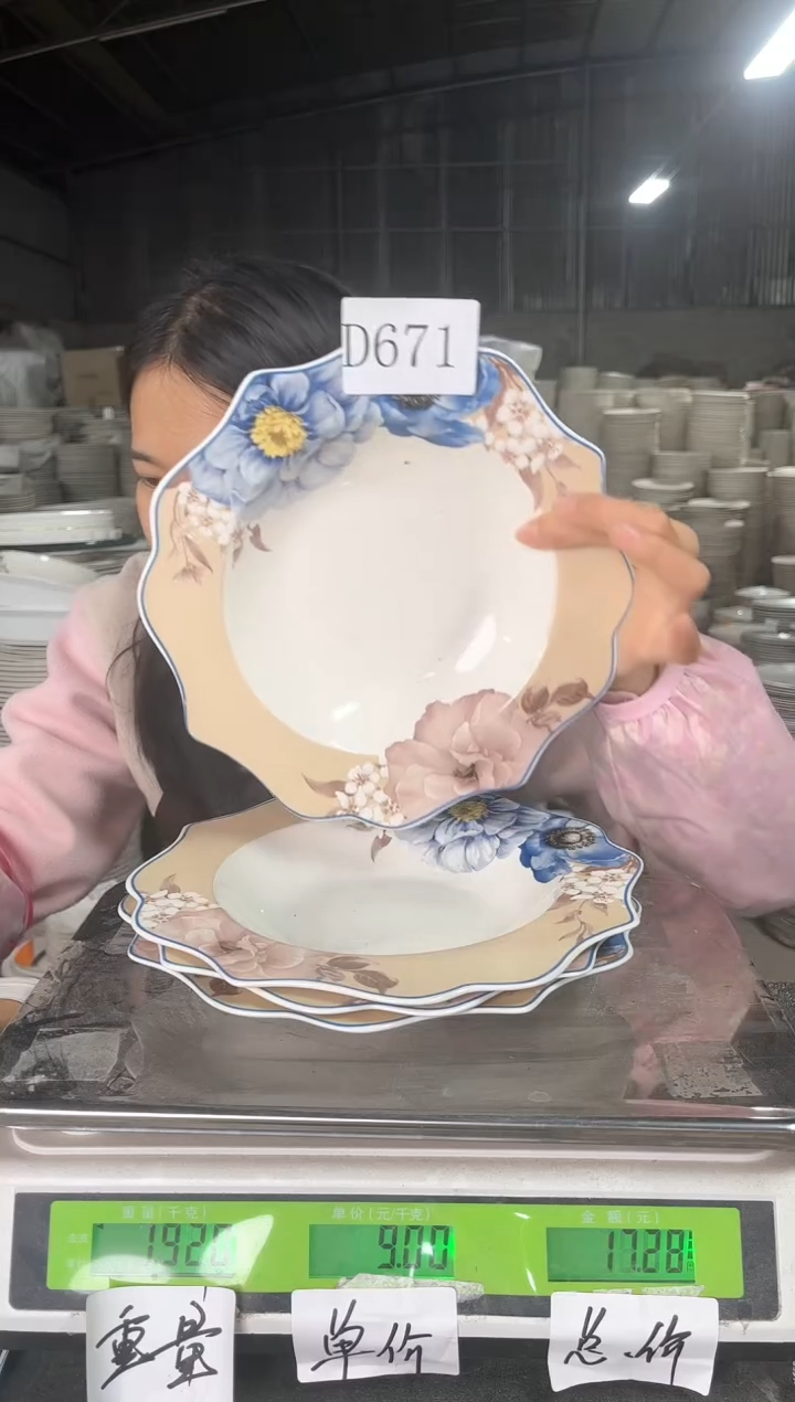 新骨瓷D671  9寸  4个