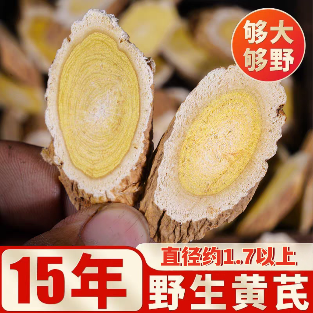 【野黄芪】多年生甘肃黄芪主干大片净重北芪泡水煲汤打豆浆
