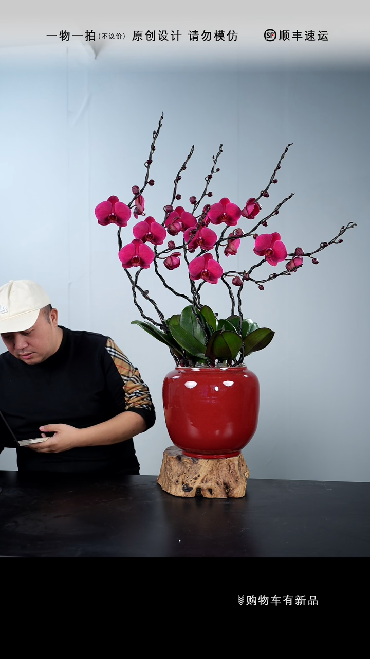 【闪购商品】【一物一拍】艺术盆景