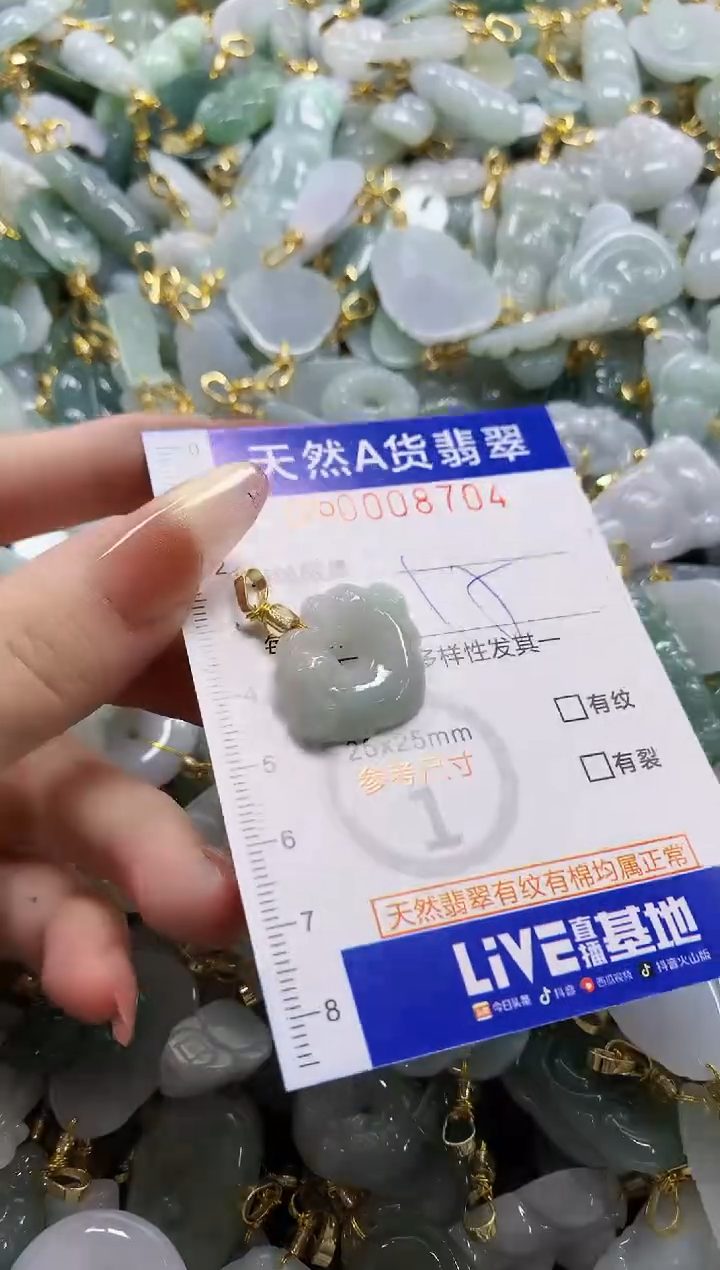 颈饰未镶嵌翡翠天然A货翡翠