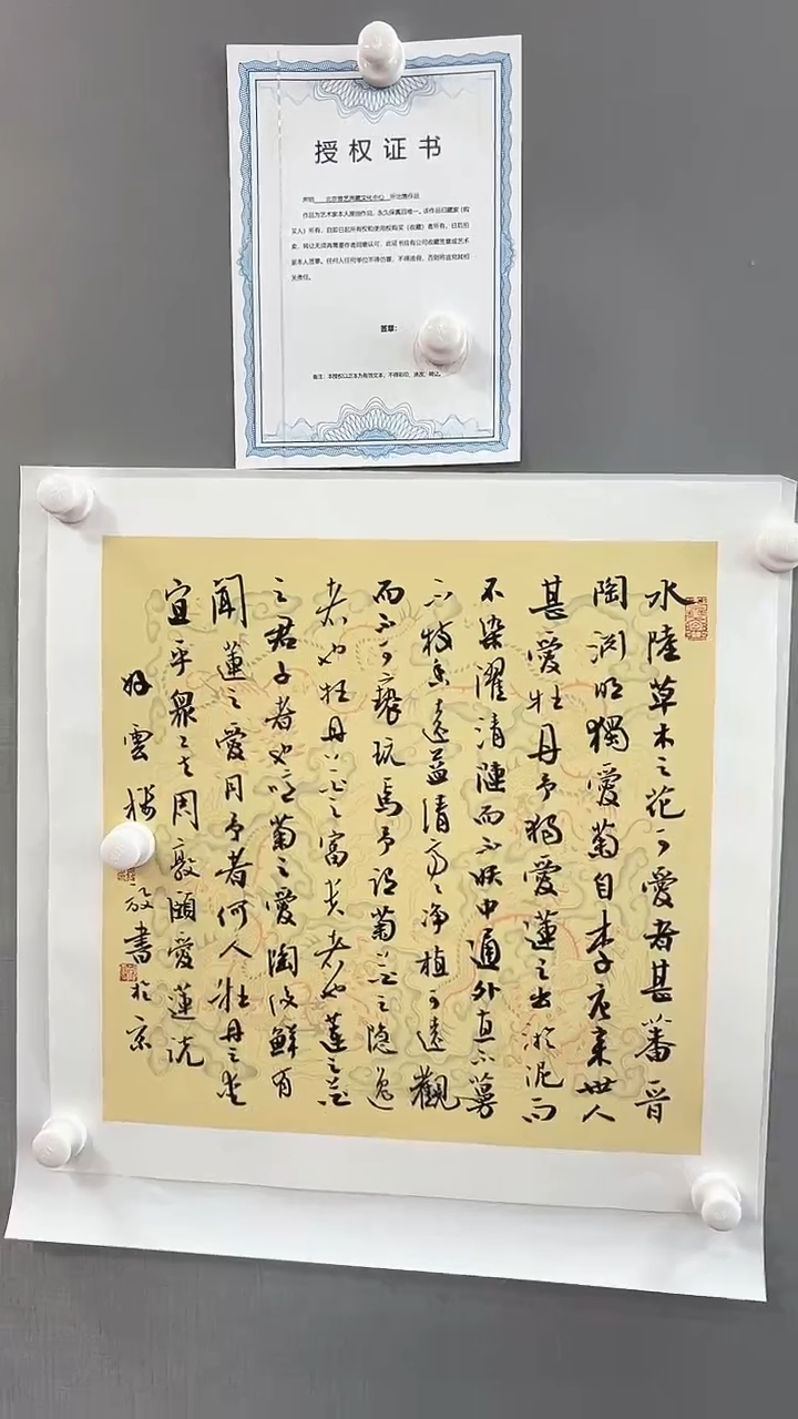 【闪购商品】书法雅艺典藏文化书法