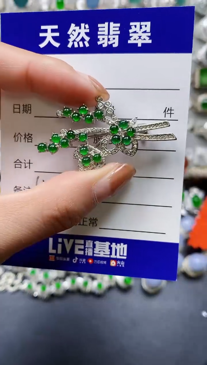 【闪购商品】翡翠颈饰银S925镶嵌0149