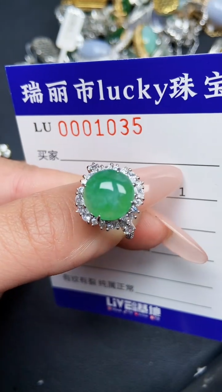 【闪购商品】翡翠颈饰银S925镶嵌1035