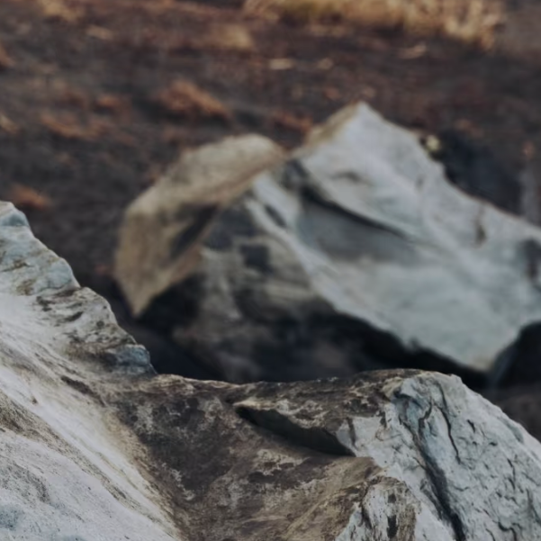 小马    刺绣鸭舌帽