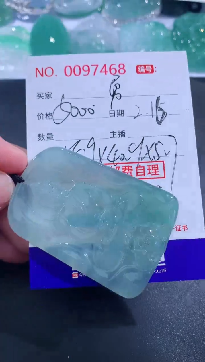 【闪购商品】翡翠颈饰未镶嵌阿