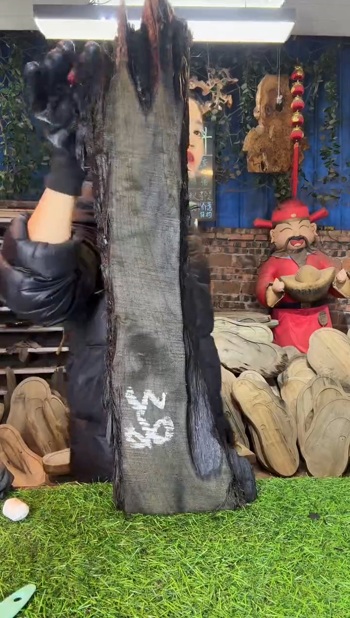 金丝楠小叶桢楠28