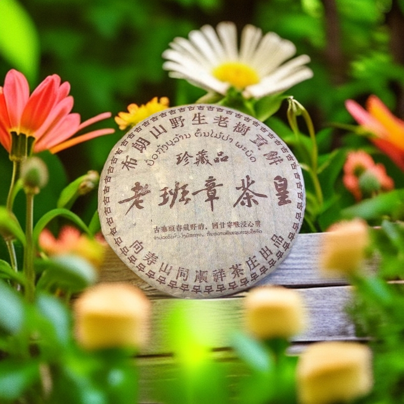LG845-1998年 向寿山老班章茶皇 生茶 357g
