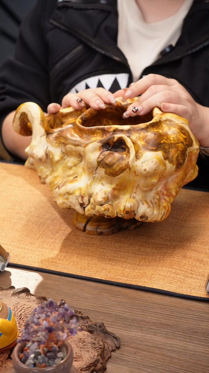 3号云小屋金丝杜仲大宝盆