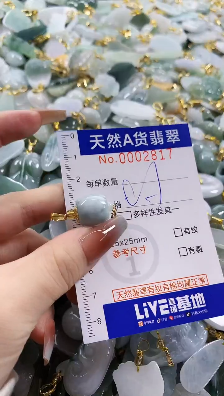 颈饰未镶嵌翡翠天然A货翡翠