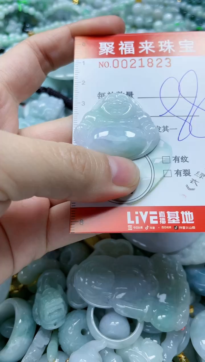 【闪购商品】翡翠颈饰未镶嵌闪购0021823