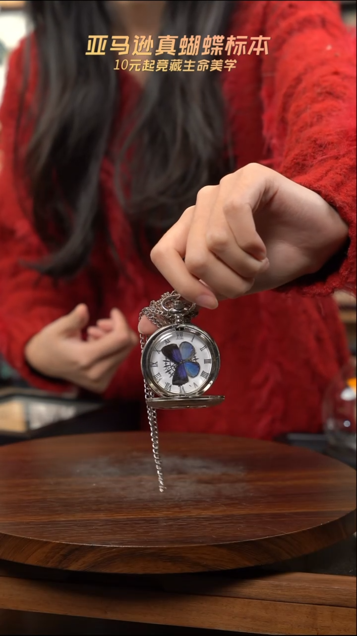 雅灰蝶怀表简约版